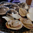 4月16日午前10時　千葉県片貝漁港へお集まりになりませんか？