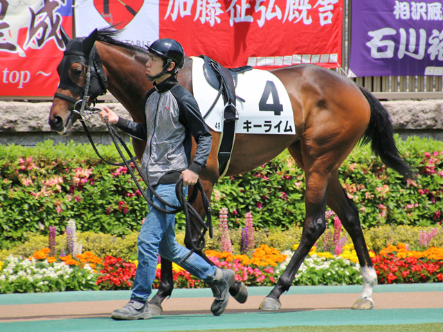 http://kashikoi-ooya.com/img/horsePhoto.jpg
