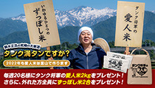 タンク満タンですか　第25回　今年の愛人米も富山で作ります